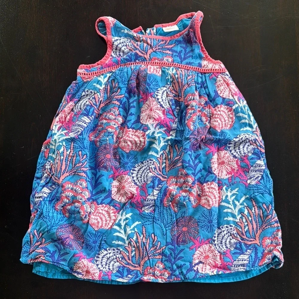 Gymboree Blue and Pink Kids Dress